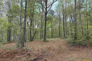 72 Woodfield Rd, Covington, GA 30014 - Photo 6