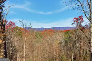1947 Ivy Mountain Rd, Clarkesville, GA 30523 - Photo 2