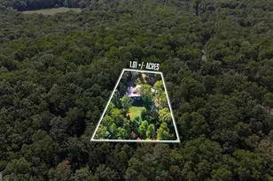 1947 Ivy Mountain Rd, Clarkesville, GA 30523 - Photo 44