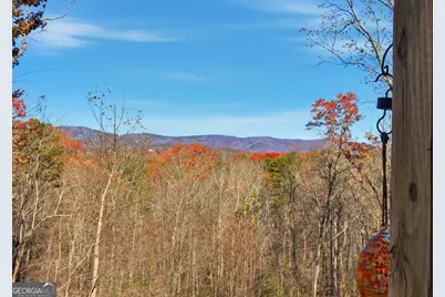 1947 Ivy Mountain Road, Clarkesville, GA 30523 - Photo 12