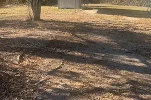 1650 Ware McLendon Rd, Tignall, GA 30668 - Photo 4