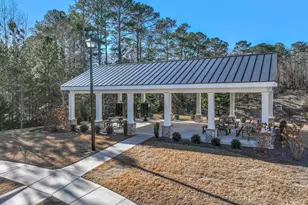 45 Birchfield Ct, Newnan, GA 30265 - Photo 44