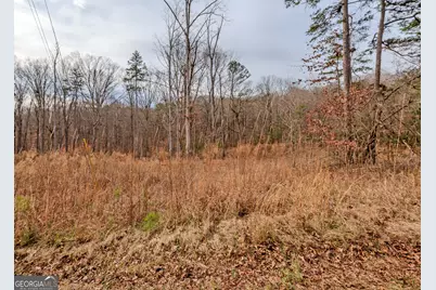 0 Andrews Subdivision Lot 5B & 6, Lavonia, GA 30553 - Photo 2