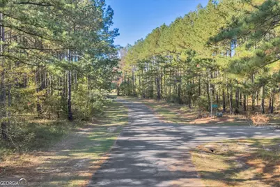 Lot 41 Sweet Magnolia Circle, Dublin, GA 31021 - Photo 4