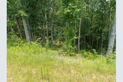 33 Ridge Line Trail, Ellijay, GA 30540 - Photo 2