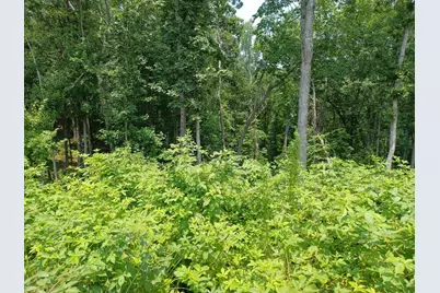 33 Ridge Line Trail, Ellijay, GA 30540 - Photo 4