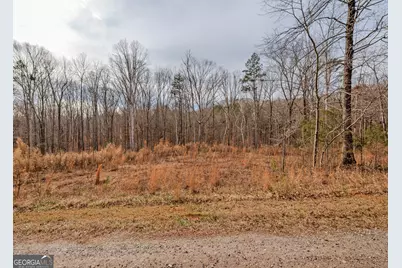0 Andrews Subdivision Lot 7, Lavonia, GA 30553 - Photo 1