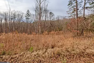 0 Andrews Subdivision Lot 5B 6 & 7, Lavonia, GA 30553 - Photo 1