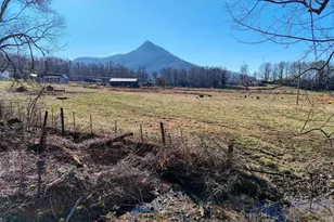 2045 Upper Bell Creek Rd, Hiawassee, GA 30546 - Photo 38