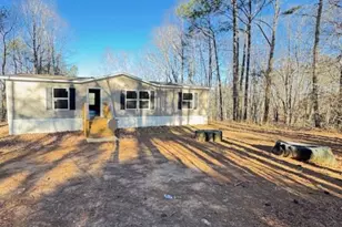 300 Dugdown Rd, Buchanan, GA 30113 - Photo 2