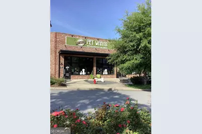 150 Ashley Drive, Fayetteville, GA 30214 - Photo 66