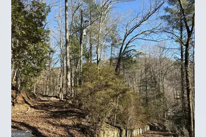 170 Old Gold Mine Trail, Helen, GA 30545 - Photo 18