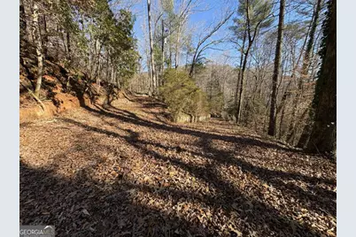 170 Old Gold Mine Trail, Helen, GA 30545 - Photo 16