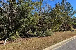 149 Sanford Dr, Waverly, GA 31565 - Photo 1