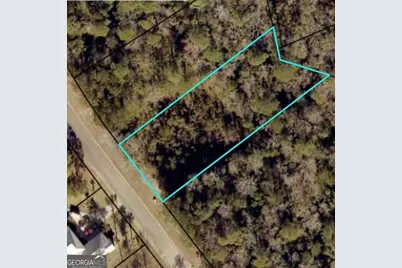 149 Sanford Drive, Waverly, GA 31565 - Photo 2