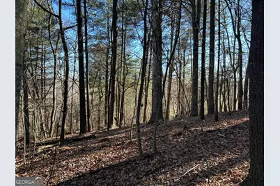 0 Twin River Orchard Road #TRACT 4, Demorest, GA 30535 - Photo 12