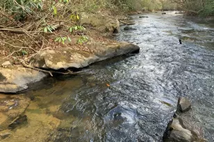 0 Fightingtown Creek, McCaysville, GA 30555 - Photo 1