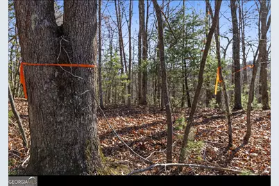 0 Fightingtown Creek, McCaysville, GA 30555 - Photo 30