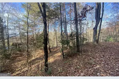 1 Barefoot Hills Road, Hiawassee, GA 30546 - Photo 4