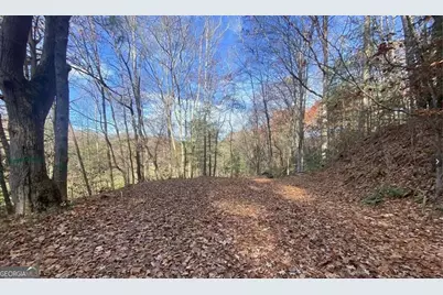 1 Barefoot Hills Road, Hiawassee, GA 30546 - Photo 2