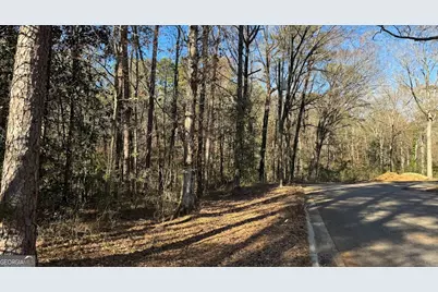 0 Deese Road #TRACT A, Ozark, AL 36360 - Photo 10