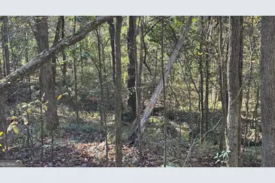 0 Deese Road #TRACT A, Ozark, AL 36360 - Photo 16