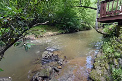 789 Old Mill Pond Road, Mineral Bluff, GA 30559 - Photo 40