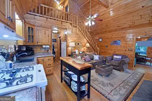 789 Old Mill Pond Rd, Mineral Bluff, GA 30559 - Photo 22