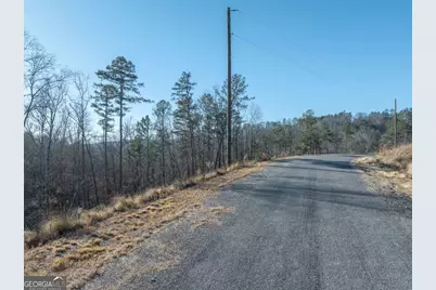 Lot 244 Spear Point Drive, Talking Rock, GA 30175 - Photo 8