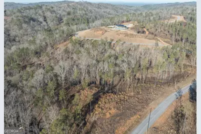 Lot 244 Spear Point Drive, Talking Rock, GA 30175 - Photo 20