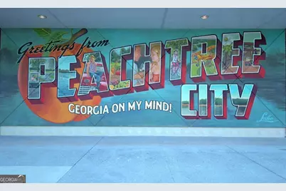 806 Smokey Way, Peachtree City, GA 30269 - Photo 88