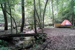 285 W0Lf Den Rd, Royston, GA 30662 - Photo 46