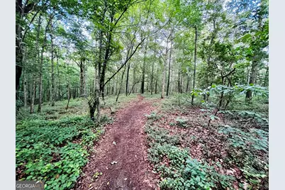 285 W0Lf Den Road, Royston, GA 30662 - Photo 48