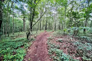 285 W0Lf Den Rd, Royston, GA 30662 - Photo 48