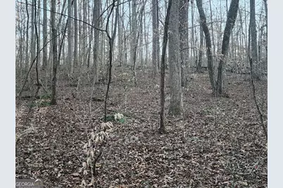 6720 Highway 382 W, Ellijay, GA 30540 - Photo 4