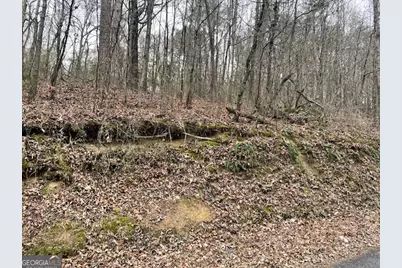 0 Wooten Lane, Chickamauga, GA 30707 - Photo 4