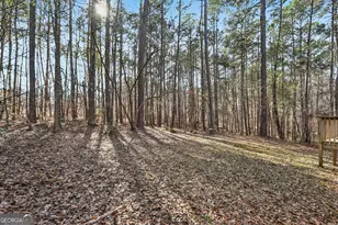 765 Whippoorwill Rd, Monticello, GA 31064 - Photo 26