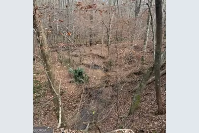+/- 198 Acres Dennis Creek Road, Talbotton, GA 31827 - Photo 12