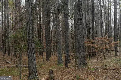 +/- 198 Acres Dennis Creek Road, Talbotton, GA 31827 - Photo 22