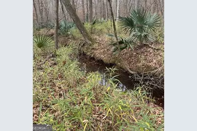 +/- 198 Acres Dennis Creek Road, Talbotton, GA 31827 - Photo 26