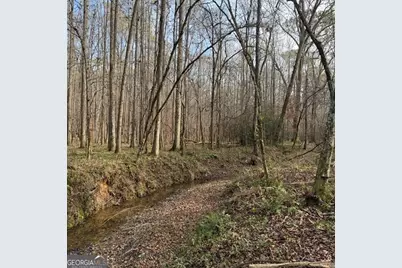 +/- 198 Acres Dennis Creek Road, Talbotton, GA 31827 - Photo 10