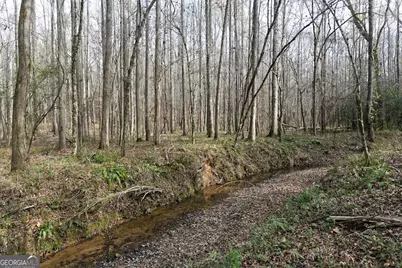 +/- 198 Acres Dennis Creek Road, Talbotton, GA 31827 - Photo 28