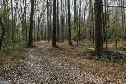 +/- 198 Acres Dennis Creek Road, Talbotton, GA 31827 - Photo 24