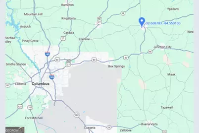 +/- 198 Acres Dennis Creek Road, Talbotton, GA 31827 - Photo 36