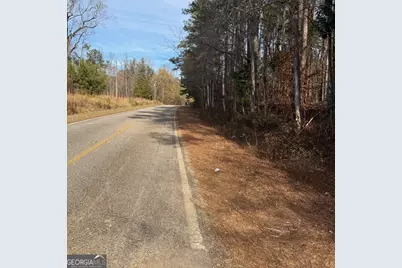 +/- 198 Acres Dennis Creek Road, Talbotton, GA 31827 - Photo 2