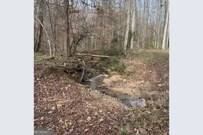 +/- 198 Acres Dennis Creek Road, Talbotton, GA 31827 - Photo 8