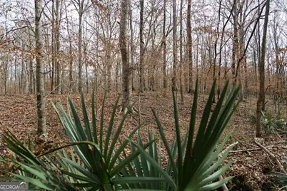 +/- 198 Acres Dennis Creek Road, Talbotton, GA 31827 - Photo 20