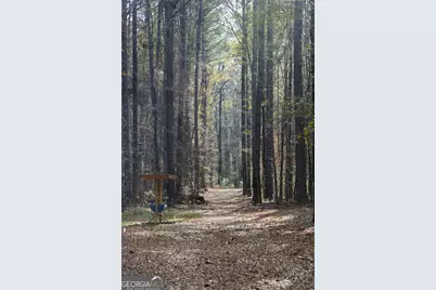 +/- 198 Acres Dennis Creek Road, Talbotton, GA 31827 - Photo 18