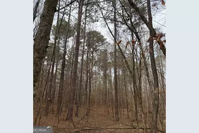 +/- 198 Acres Dennis Creek Road, Talbotton, GA 31827 - Photo 4