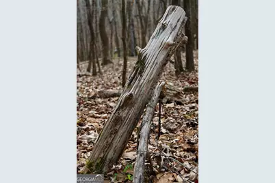 +/- 198 Acres Dennis Creek Road, Talbotton, GA 31827 - Photo 30